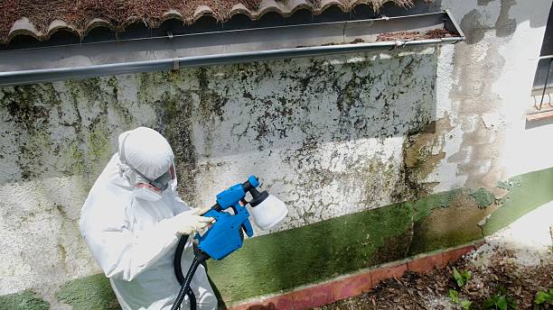 Trusted Bathroom Mold Removal service in Warrenton, VA - Cheap Mold Removal